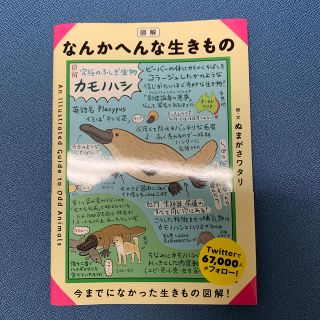 図解なんかへんな生きもの(アート/エンタメ)