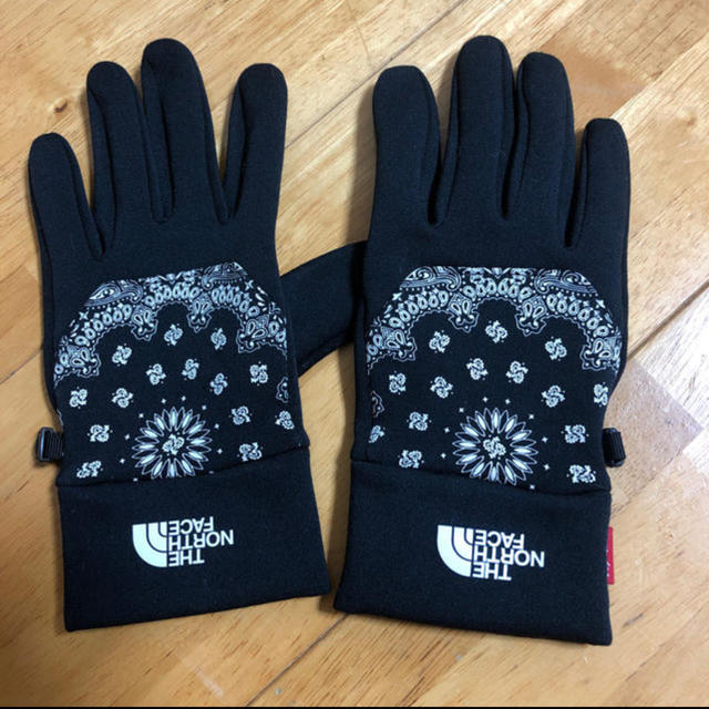 SUPREME x North Face BANDANA ETIP GLOVE