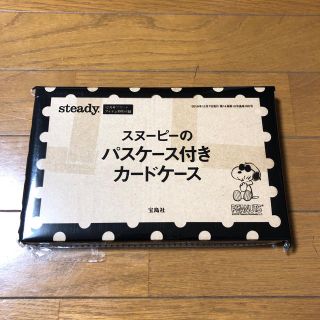 スヌーピー(SNOOPY)のsteady 12月号付録(ポーチ)