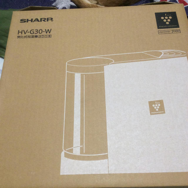 SHARP 気化式加湿器 ホワイト