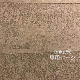 erika様 専用ページ(イヤリング)