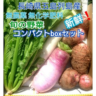 無農薬❗新鮮野菜セット〈コンパクトbox〉(ラインナップのこ確認を) 五島列島産(野菜)