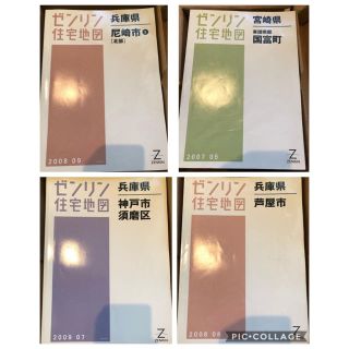 ゼンリン 2008 2009(地図/旅行ガイド)