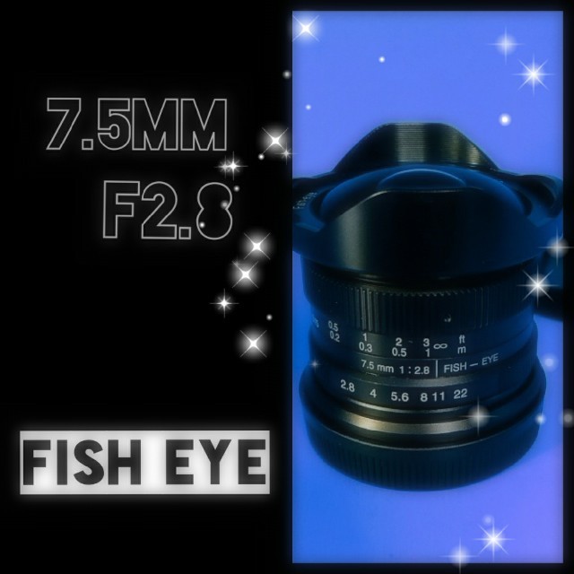 魚眼レンズ！OLYMPUSやPanasonicミラーレスに対応！初めての魚眼