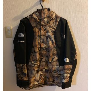 シュプリーム(Supreme)のSupreme THE NORTH FACE 16AW ノース シュプリーム(マウンテンパーカー)