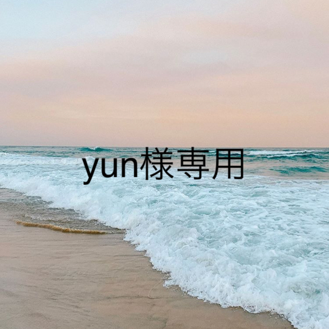 yun様専用画面 レディースのアクセサリー(ネックレス)の商品写真