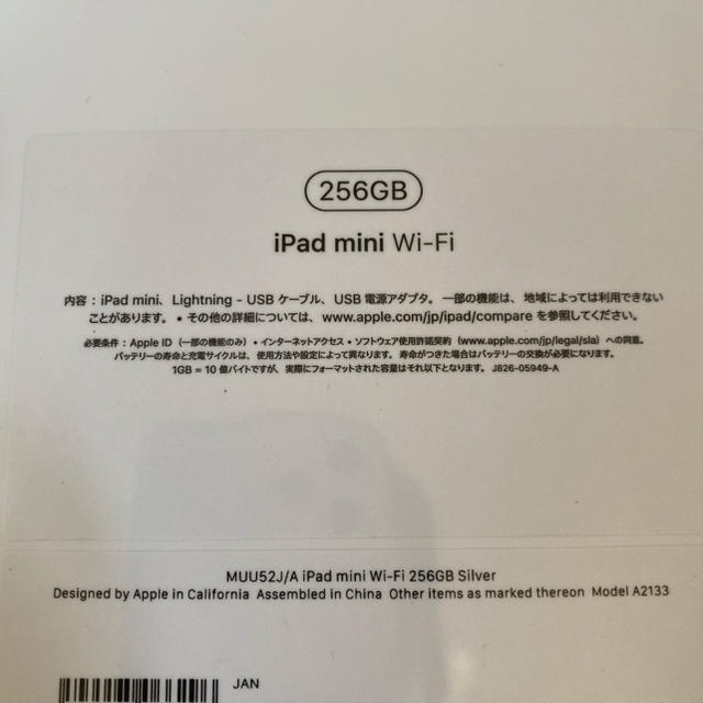 iPad mini