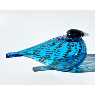 Coral Eider 2011年 アニュアルバード イッタラ オイバ・トイッカ