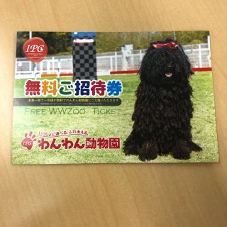 わんわん動物園　優待券(動物園)