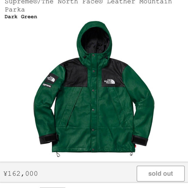 supreme north face M