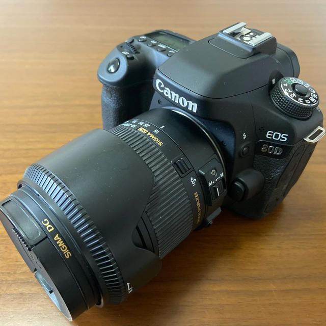 Canon - 【ともみん】美品 Canon EOS 80D シグマ遠近両用レンズ付