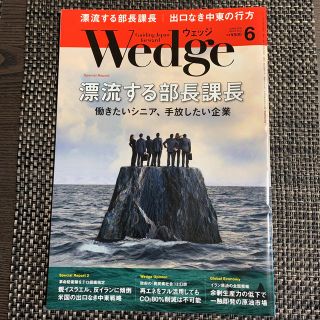 Wedge(ウェッジ) 2019年 06月号(ビジネス/経済/投資)