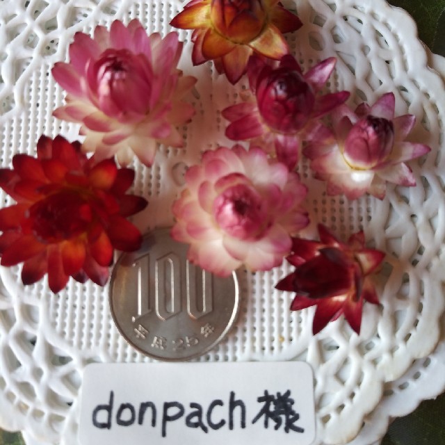 donpach様　専用ページ ハンドメイドのフラワー/ガーデン(ドライフラワー)の商品写真