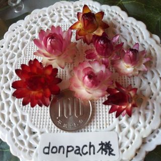 donpach様　専用ページ(ドライフラワー)