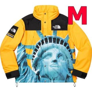 シュプリーム(Supreme)のM Supreme The North Face Mountain Jacket(マウンテンパーカー)