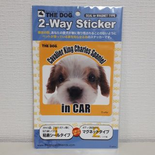 車 ステッカー Cavalier in CAR キャバリア THE DOG(犬)