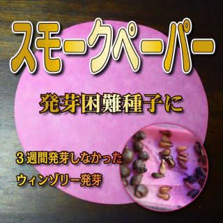  発芽困難種子に　スモークペーパー　2枚　発芽率向上　発芽促進　休眠打破(その他)