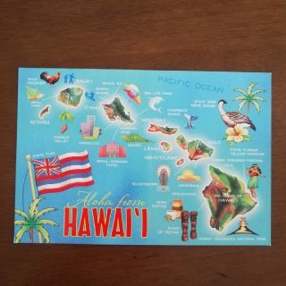 Hawaii　ハワイ　ヤシの木　ハワイ島(写真/ポストカード)