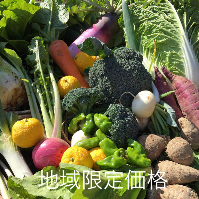 野菜BOX  Sサイズ 食品/飲料/酒の食品(野菜)の商品写真