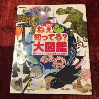 ねぇ知ってる？大図鑑 親子でびっくり！なるほど豆知識！！(絵本/児童書)