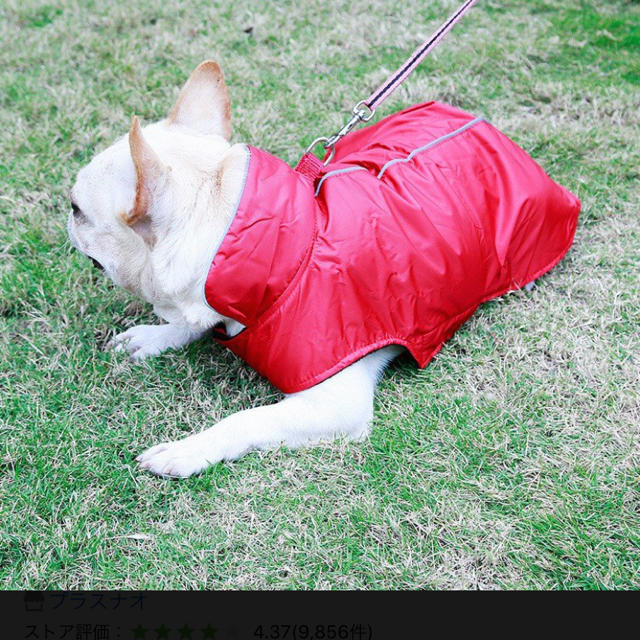 犬用レインコート レインポンチョ カッパ 雨具 レインウェア マジックテープの通販 by 127｜ラクマ
