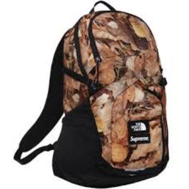 SUPREME NORTH FACE Pocono Backpack leaf