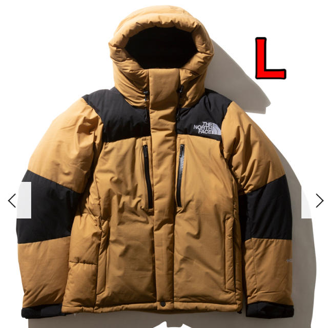 THE NORTH FACE - 【Lサイズ】The North Face バルトロライトジャケット