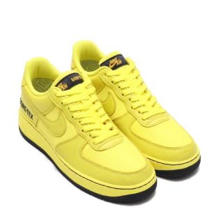 ナイキ(NIKE)のNIKE GORE-TEX(スニーカー)