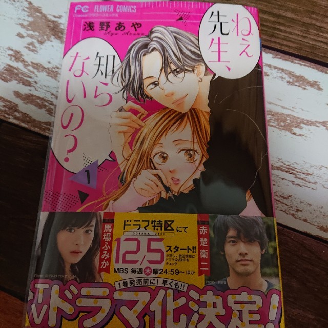 小学館(ショウガクカン)のねぇ先生、知らないの？ １ エンタメ/ホビーの漫画(少女漫画)の商品写真