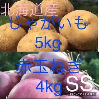 北海道産じゃがいも 5kg赤玉ねぎ4kg(野菜)