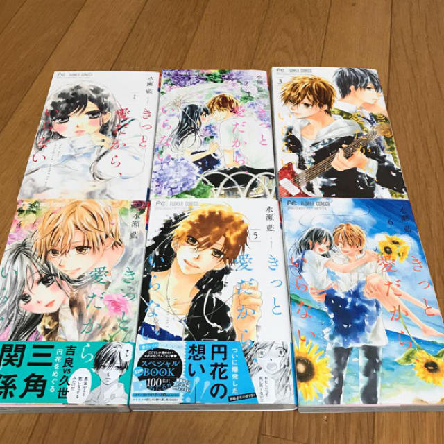 きっと愛だから、いらない 1~6巻 全巻 | フリマアプリ ラクマ