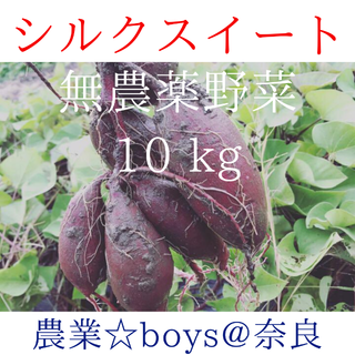 無農薬 シルクスイート 10 kg(野菜)