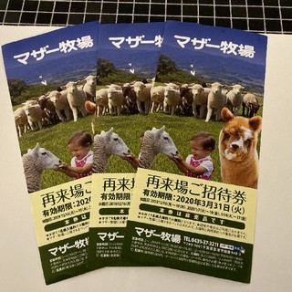 マザー牧場　無料招待券3枚(動物園)