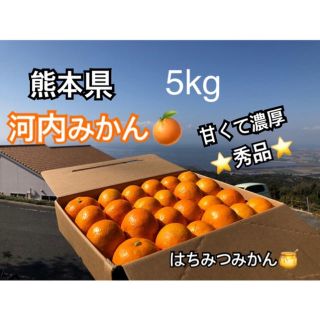 熊本県 河内みかん5kg  ☆濃厚☆ 農家直送(フルーツ)