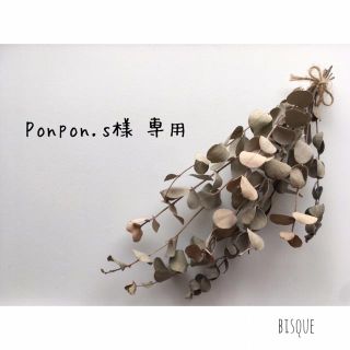 Ponpon.s様 専用リピ(その他)