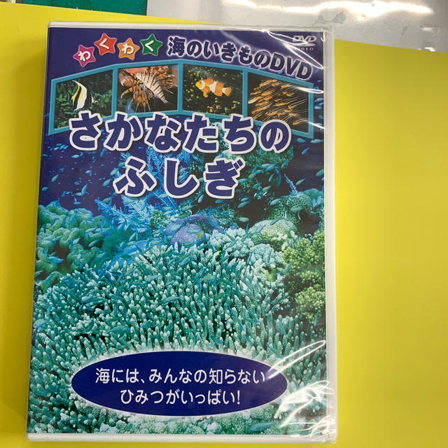 DVD さかなたちのふしぎ エンタメ/ホビーのDVD/ブルーレイ(キッズ/ファミリー)の商品写真