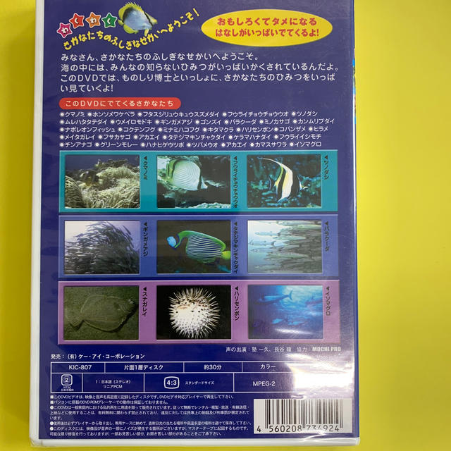 DVD さかなたちのふしぎ エンタメ/ホビーのDVD/ブルーレイ(キッズ/ファミリー)の商品写真
