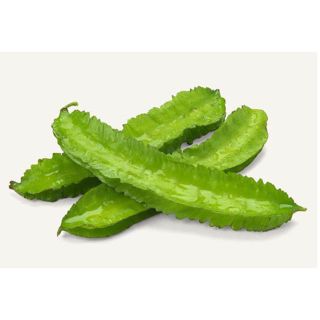 シカクマメ  種子10粒(野菜)