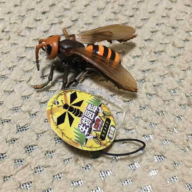 生物図鑑キッズシリーズ リアルスズメバチ3 BIGスズメバチ BIGカマキリ