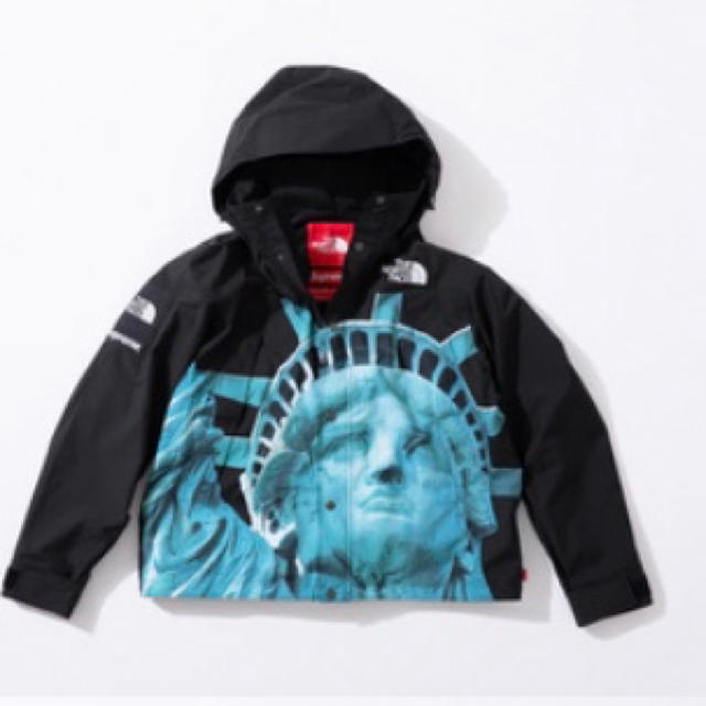 ジャケット/アウターsupreme THE NORTH FACE