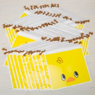 日清 チキンラーメン ひよこちゃん ビニール巾着 弁当箱 ランチ カップヌードル(キャラクターグッズ)