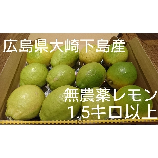 広島県大崎下島産 無農薬レモン1.5キロ 食品/飲料/酒の食品(フルーツ)の商品写真