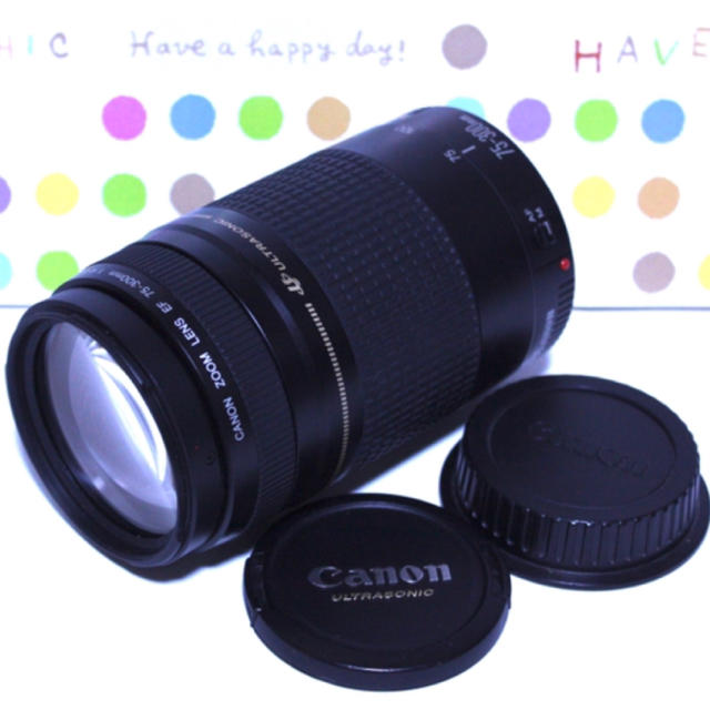 超美品 Canon - ★大迫力300mm超望遠レンズ★キャノン Canon EF 75-300mm★ レンズ(ズーム)