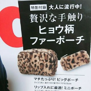 宝島社 レオパードの通販 23点 | 宝島社を買うならラクマ