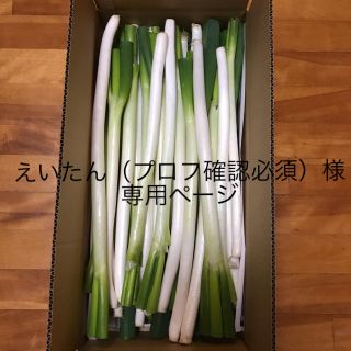 訳あり長ネギ12kg（専用ページ）(野菜)