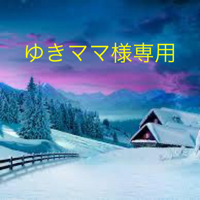 ゆきママ様専用 solseg.com.co