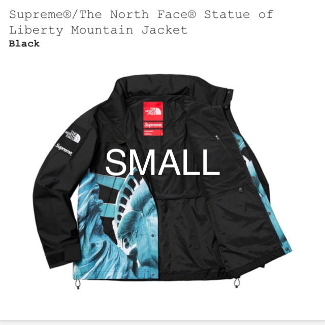 Supreme(シュプリーム)のsupreme The North Face Mountain Jacket メンズのジャケット/アウター(マウンテンパーカー)の商品写真