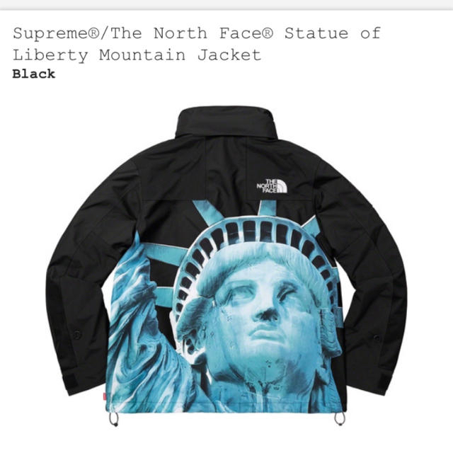 Supreme(シュプリーム)のsupreme The North Face Mountain Jacket メンズのジャケット/アウター(マウンテンパーカー)の商品写真