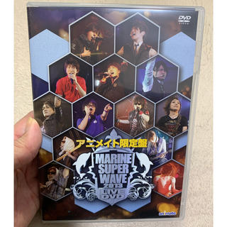 MARIN SUPER WAVE LIVE 2013(その他)
