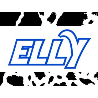 サンダイメジェイソウルブラザーズ(三代目 J Soul Brothers)のELLYネームボード🍒❕(オーダーメイド)